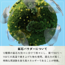 画像をギャラリービューアに読み込む, 麻炭ポケットモ