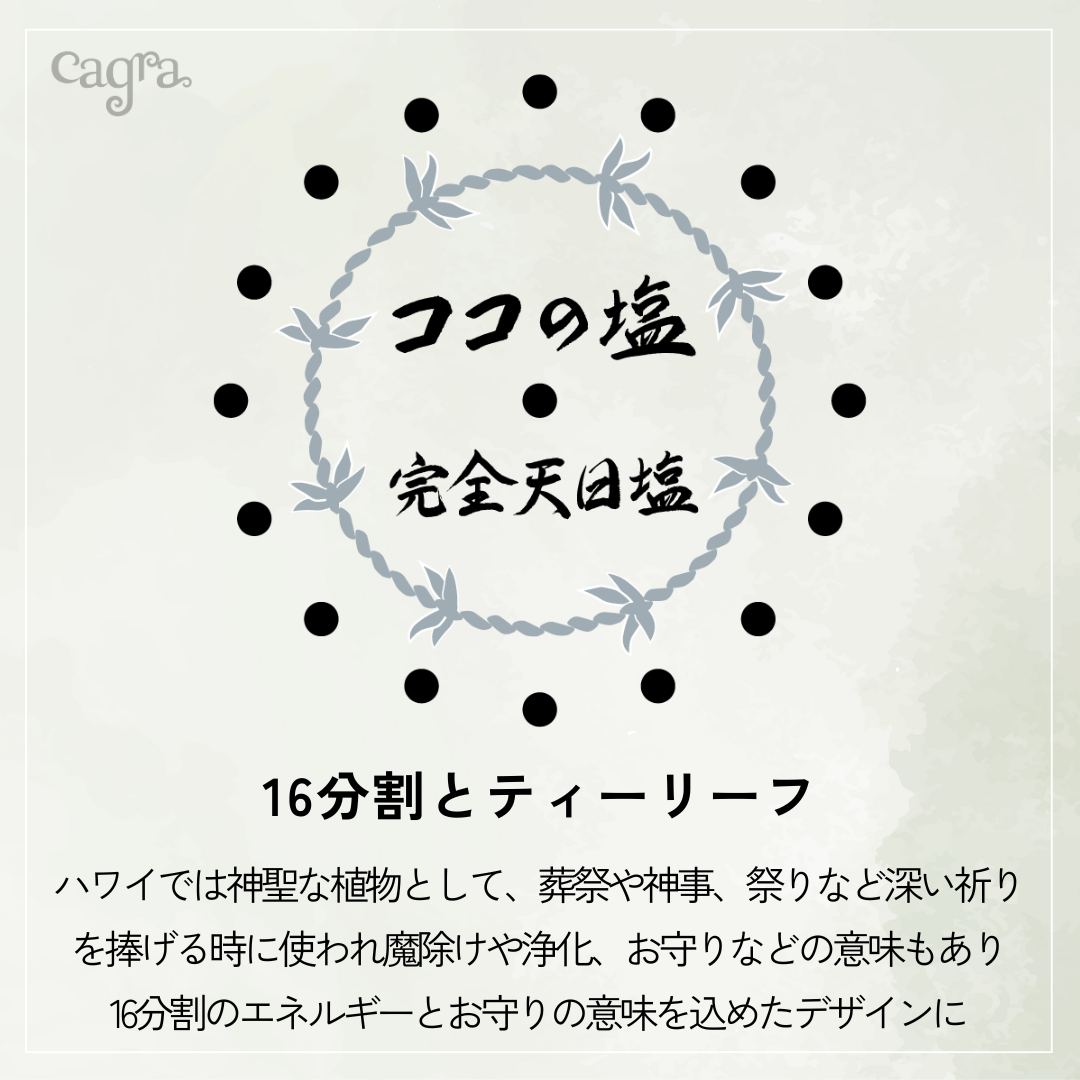 塩塩 完全天日塩 ココの塩 – cocozion