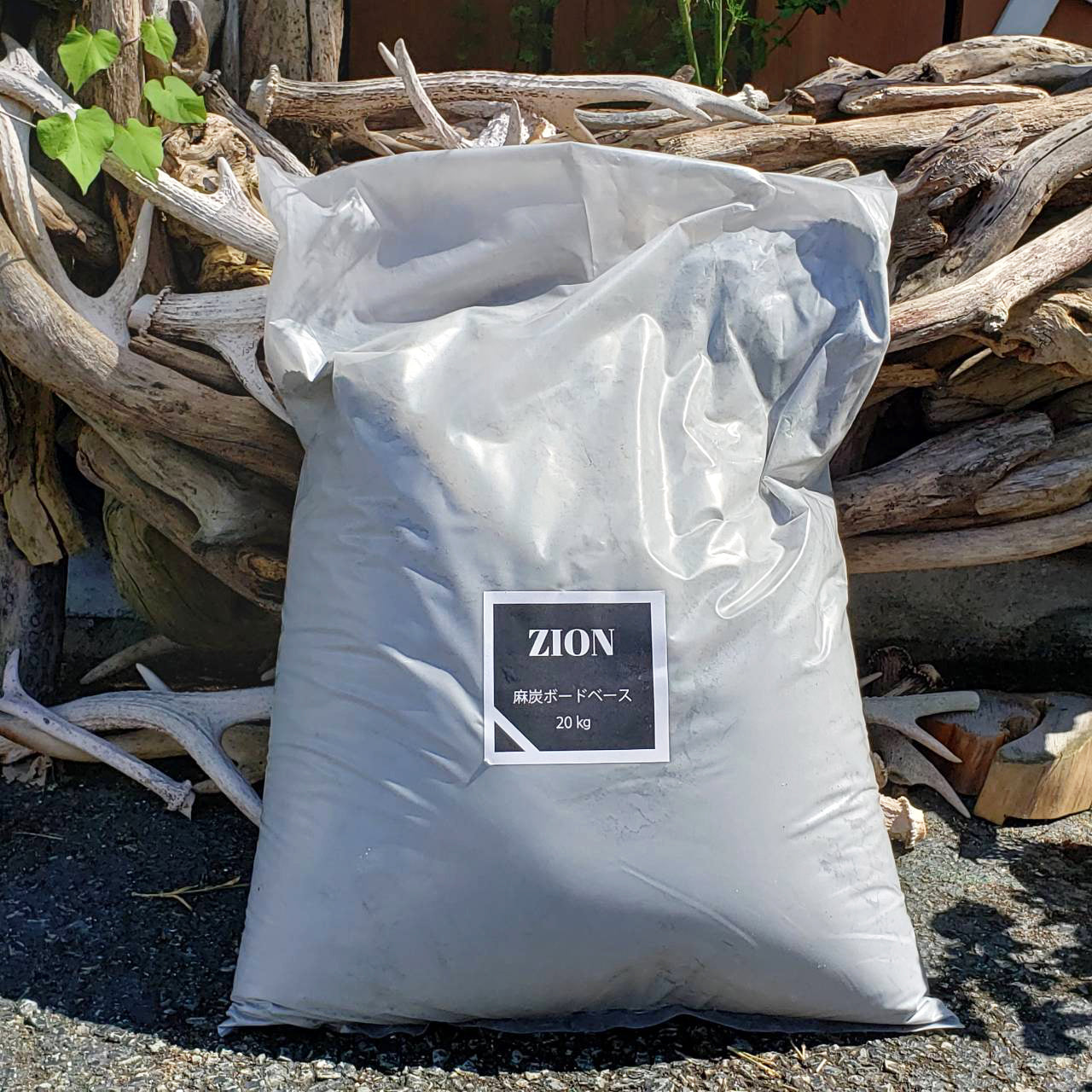 ZION_1280x.jpg?v=1633682345