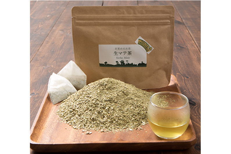 生マテ茶